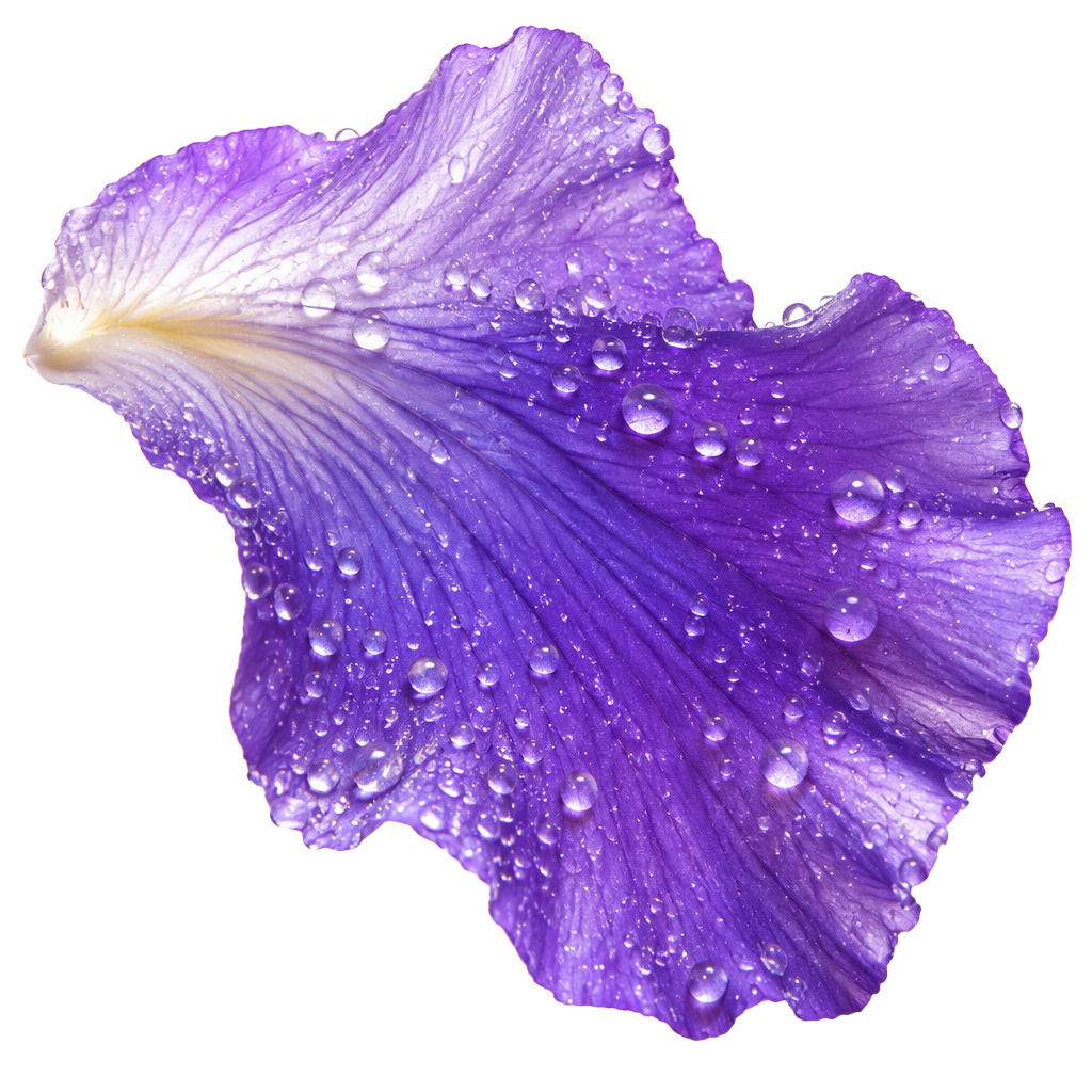 Ojass Botanical Accent